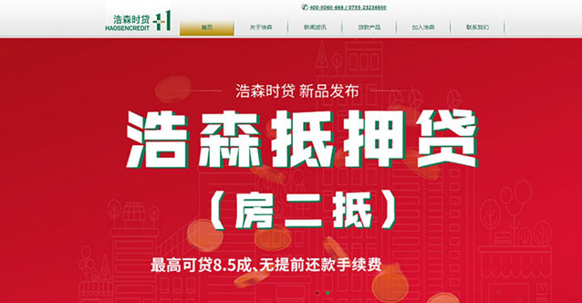 深圳市浩森小额贷款股份有限公司网站设计展示图