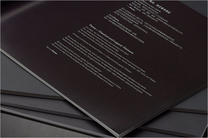 黑眼睛广告为Pama印刷的产品画册内页实拍效果，印刷工艺为CMYK+专银（五色印刷）