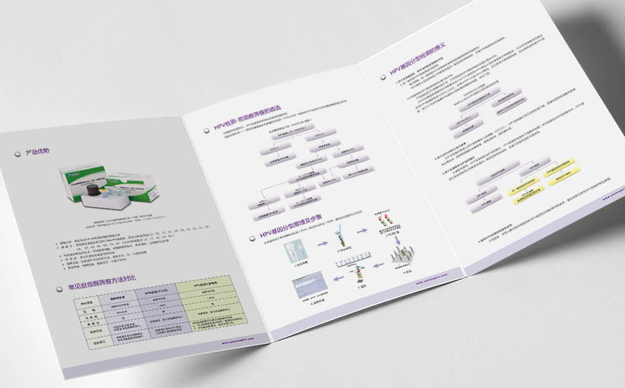《HPV基因分型检测-宫颈癌筛查》产品的三折页