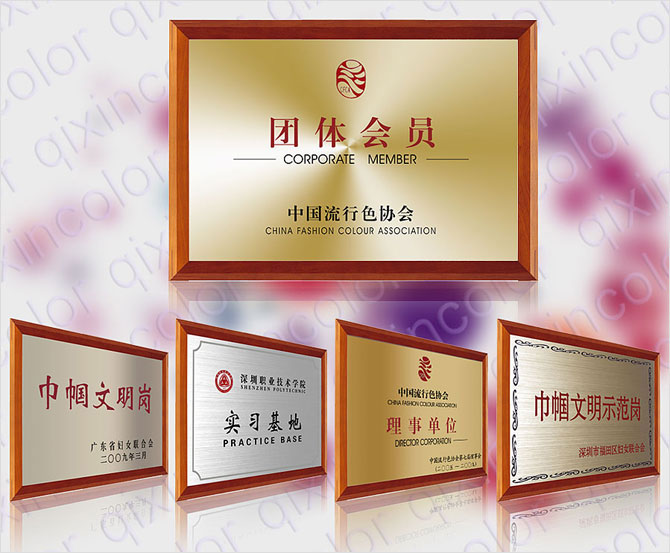 公司獲得的榮譽(yù)、獎(jiǎng)牌