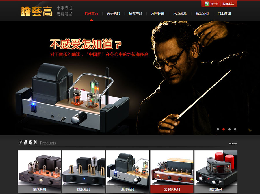 黑眼睛廣告為膽藝高音響器材有限公司官網(wǎng)設計的首頁