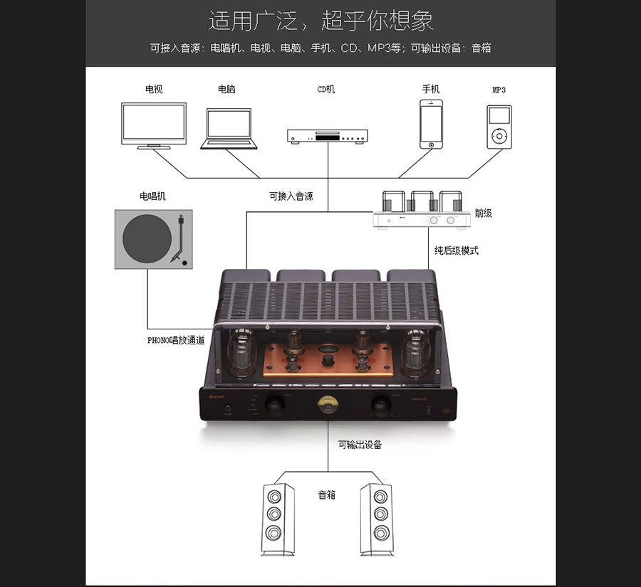 黑眼睛广告为胆艺高音响器材有限公司官网设计的产品详情页