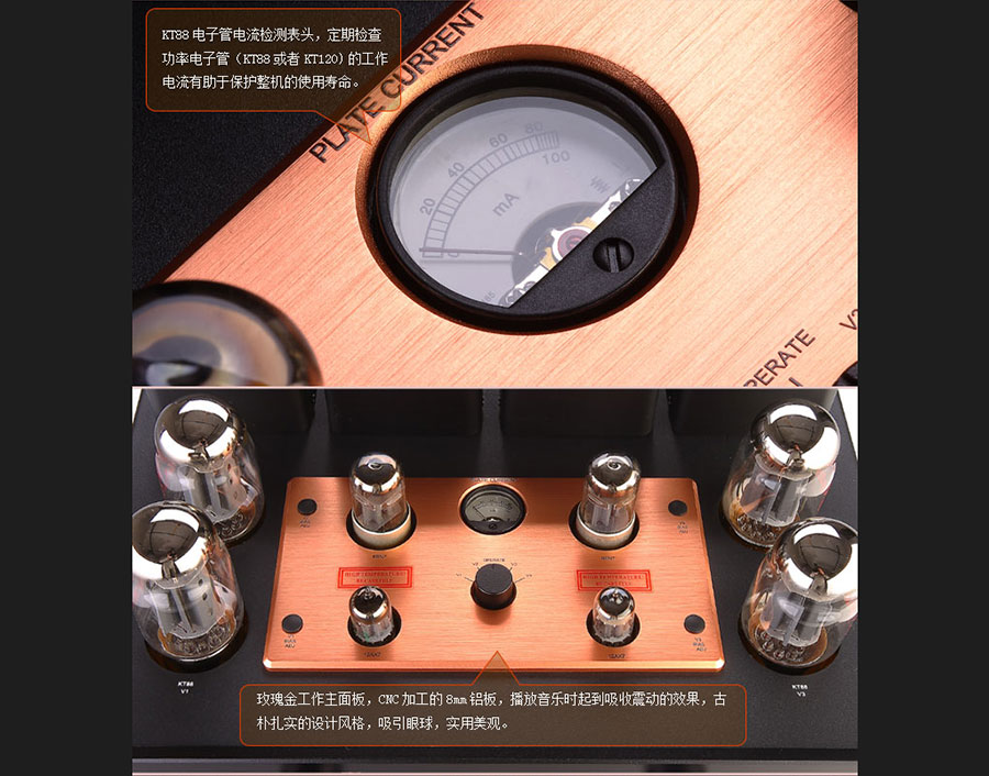 黑眼睛廣告為膽藝高音響器材有限公司官網(wǎng)設計的產(chǎn)品詳情頁
