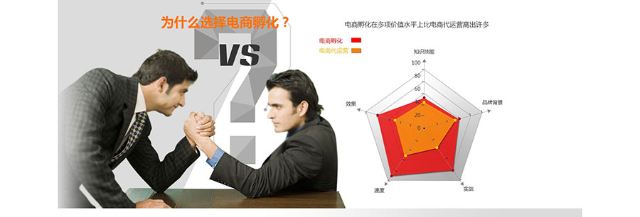 黑眼睛广告为淘宝大学培训官网设计的电商孵化板块